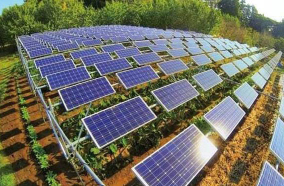 建設(shè)農(nóng)光互補(bǔ)光伏電站有什么好處？