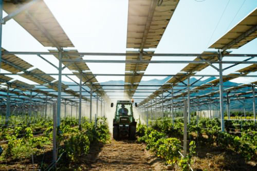 農(nóng)光互補(bǔ)光伏支架系統(tǒng)助力推廣光伏農(nóng)業(yè)產(chǎn)品