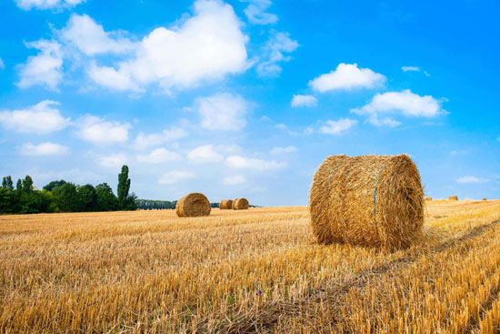 生物質能源是什么能源？