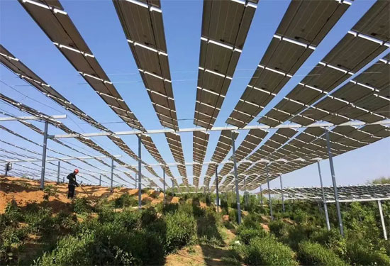 農(nóng)光互補(bǔ)和林光互補(bǔ)有什么區(qū)別？