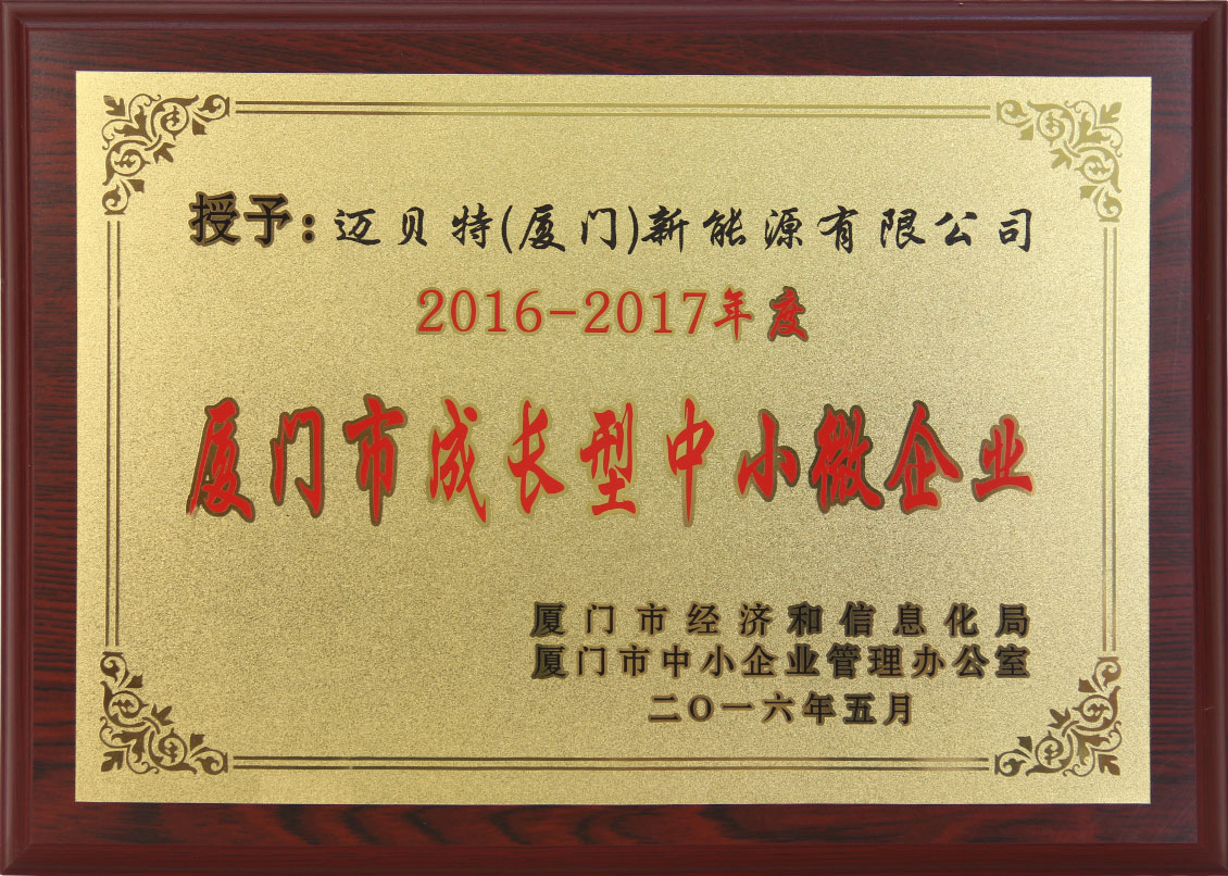 16年成長型中小微企業(yè).jpg