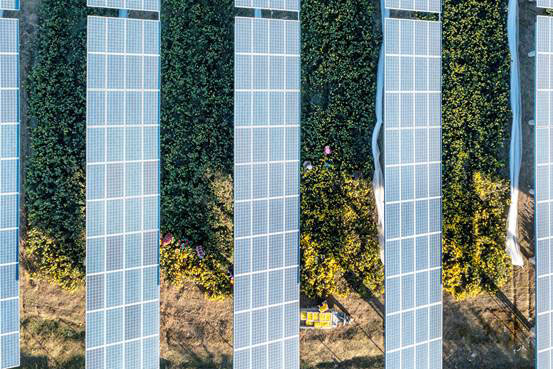 農光互補光伏電站助力碭山農戶實現雙增收