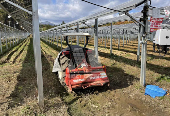 農光互補支架系統