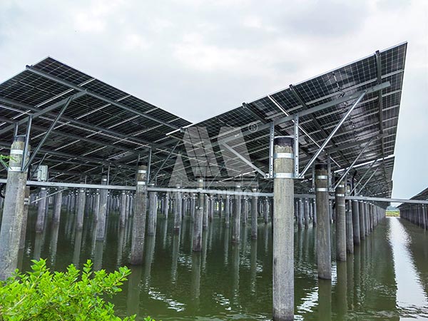 44MW漁光互補項目